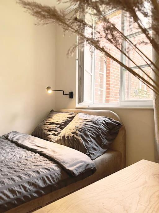 Natural Apartment In The City Center - Old Town Breslau Exterior foto