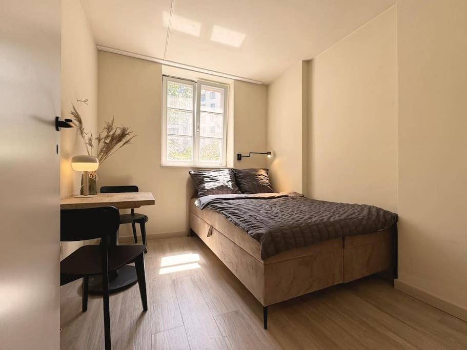 Natural Apartment In The City Center - Old Town Breslau Exterior foto